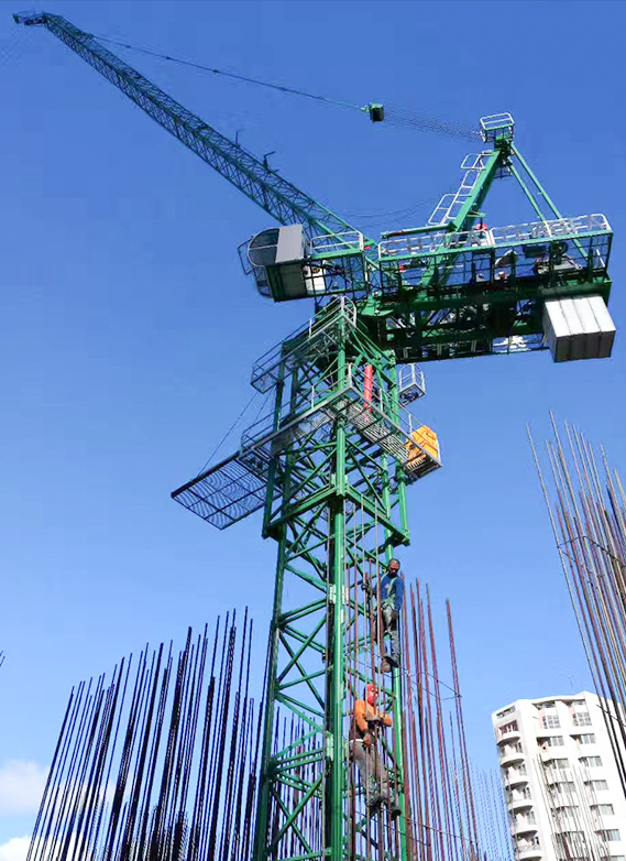 Trường hợp