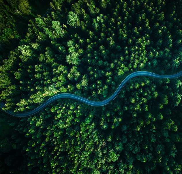 Công ty TNHH Công ty TNHH Xây dựng Tengfa Tengfa.