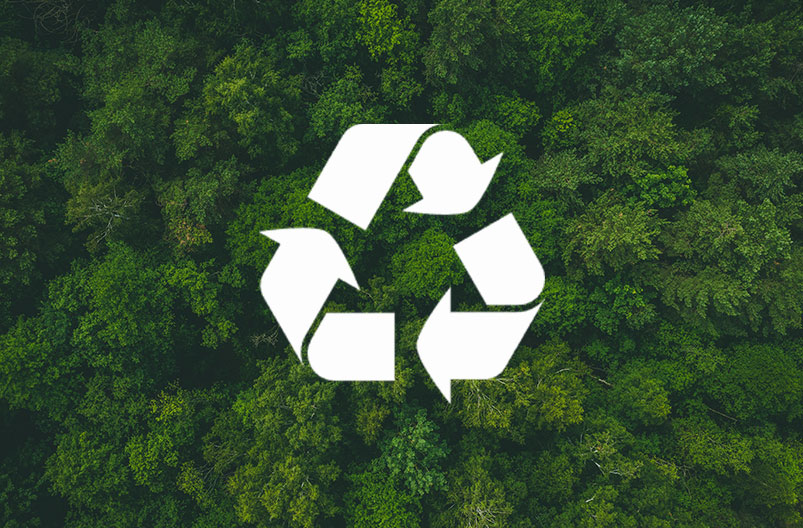 Công ty TNHH Công ty TNHH Xây dựng Tengfa Tengfa.